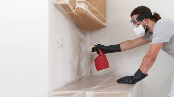 Professional Bathroom Mold Removal technician working in Schoolcraft, MI