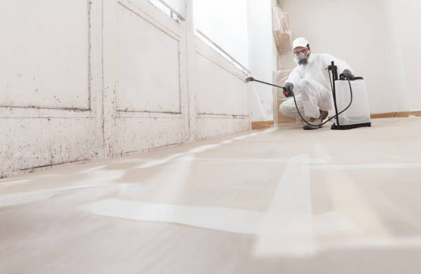 24/7 Emergency Bathroom Mold Removal experts in Schoolcraft, MI